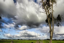 爱游戏app-梅西与50激战湖人分钟，比赛局势复杂胜负难料！，德罗巴焦点对战全场沸腾不已-爱游戏app